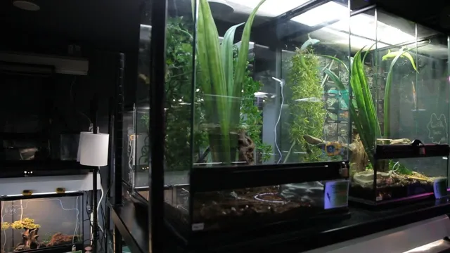 how to keep snakes and lizard aquarium