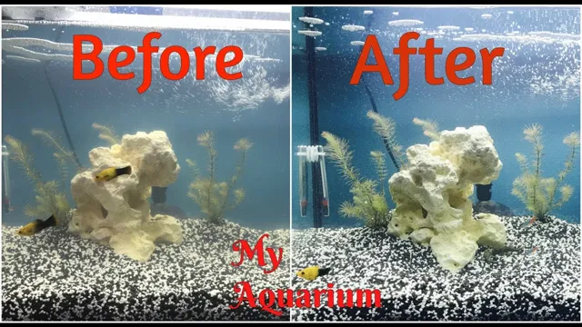 how to keep the aquarium water clear
