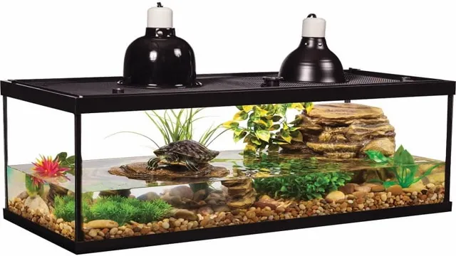 How to Keep Turtles in Aquarium: Tips and Strategies for a Healthy Habitat