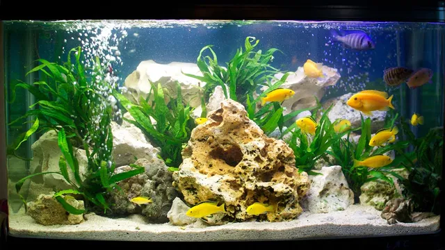 how to keep water cool in aquarium