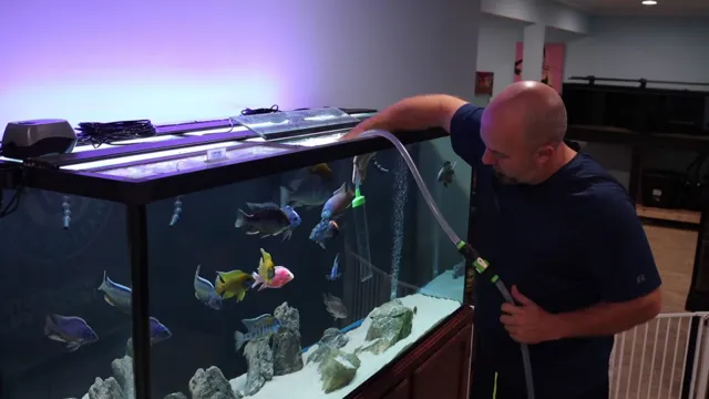 how to keep water line clean and aquarium