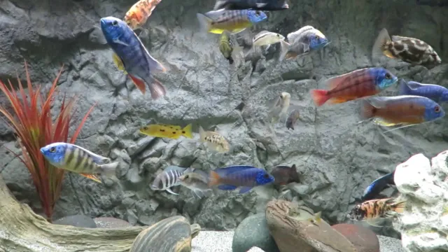 how to keep waterline clear on aquarium