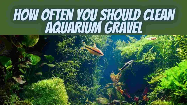 How to Keep White Aquarium Gravel Clean: Tips and Tricks for a Spotless Tank