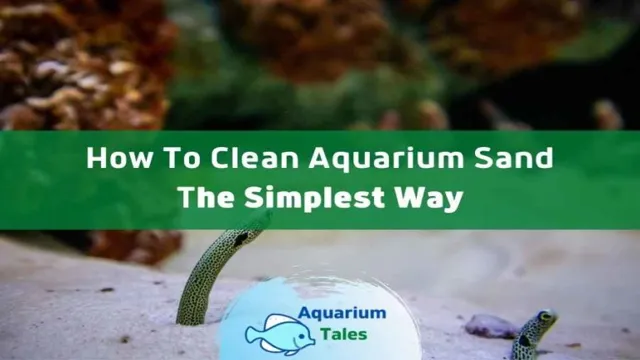 how to keep white sand clean in aquarium