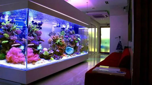 How to Keep Wood Down in Aquarium: Tips and Tricks for Stabilizing Aquarium Décor