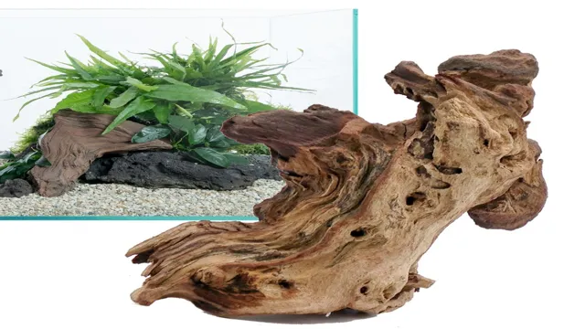 how to keep wood in aquarium