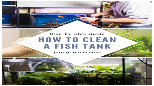 how to keep your aquarium clear