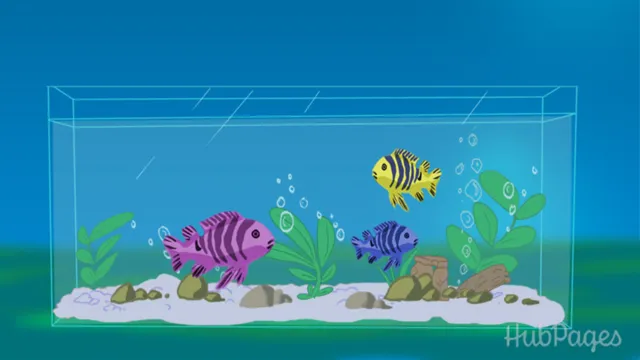 how to keep your aquarium crystal clear