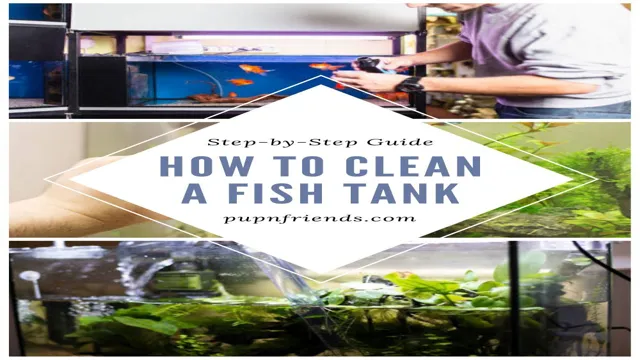 How to Keep Your Fish Aquarium Clean and Healthy: Tips and Tricks