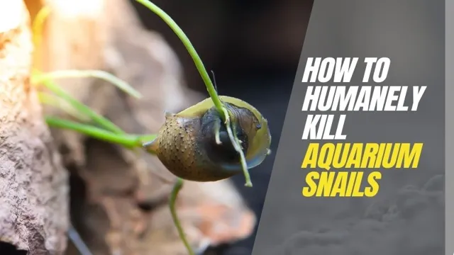 how to kill aquarium pond snails