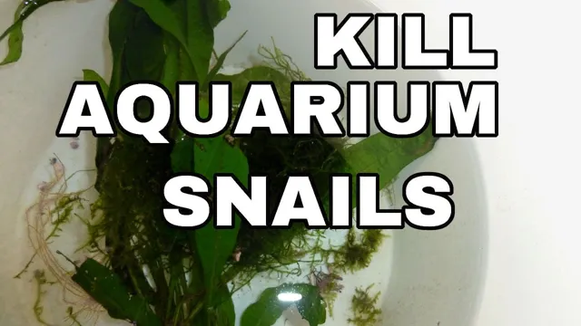 How to Kill Aquarium Snails with Salt: A Step-by-Step Guide to Eliminating Snail Infestations