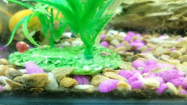 how to kill detritus worms in aquarium