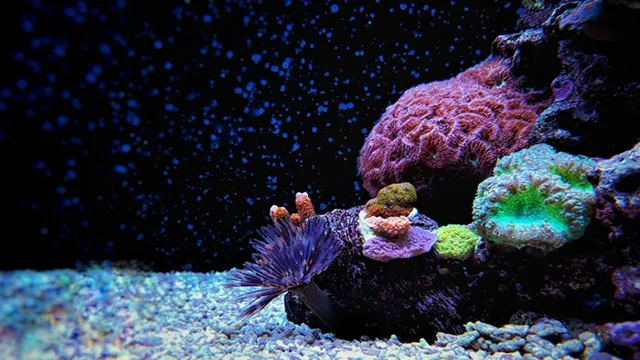 How to Kill Detritus Worms in Aquarium: A Step-by-Step Guide to Eliminating these Pesky Invertebrates