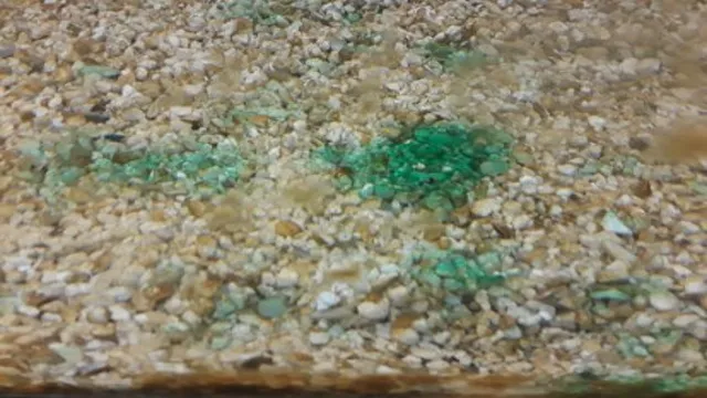 how to kill green slime from marine aquarium