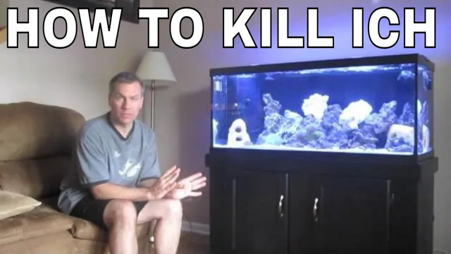 how to kill ich in aquarium
