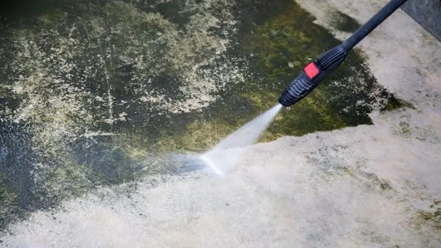 how to kill moss off aquarium wood