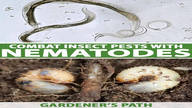 How to Kill Nematodes in Aquarium with Effective Methods