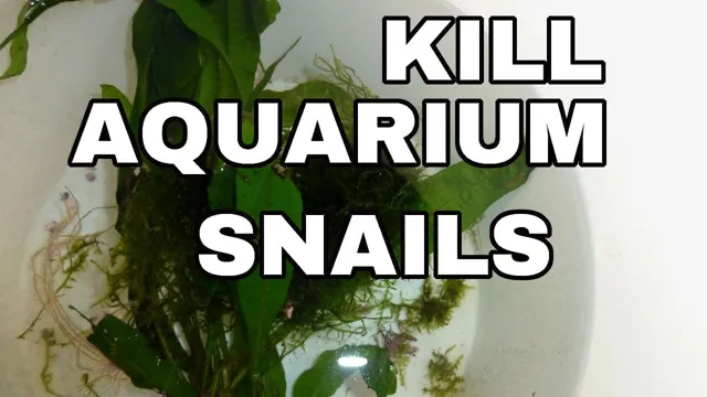 how to kill pest snails on aquarium plants