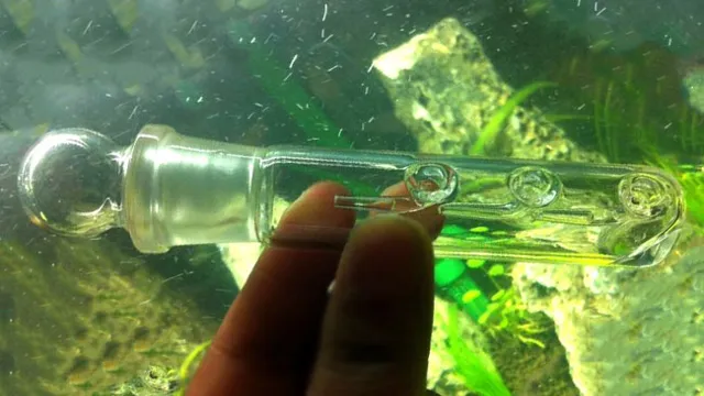 how to kill planaria in aquarium