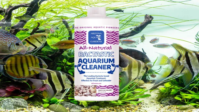 How to Know Beneficial Bacteria in Aquarium and Improve Water Quality