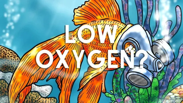 how to know if aquarium is low on oxygen