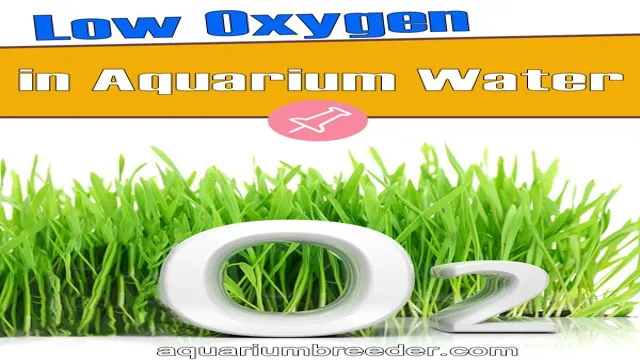 How to Know If Aquarium Is Low on Oxygen: Simple Tips for Healthy Fish