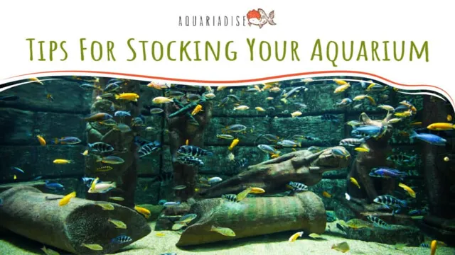 how to know if aquarium stocking level