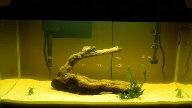 how to know if driftwood is aquarium safe