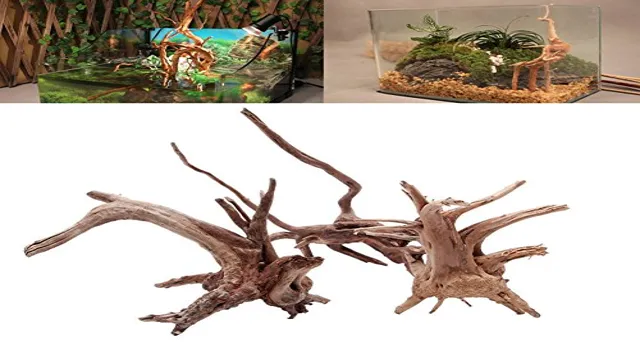 how to know if driftwood is aquarium safe