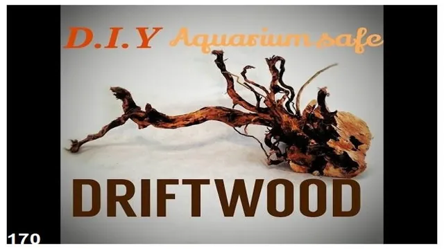 how to know if driftwood is safe for aquarium