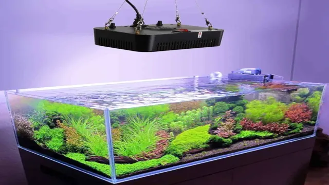 how to know if my light is for planted aquarium