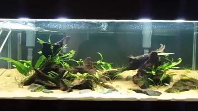 how to know if my light is for planted aquarium