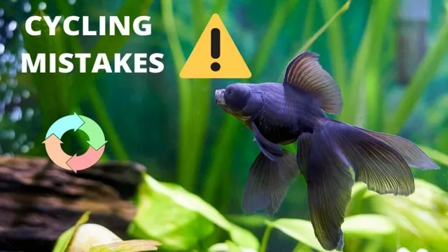 How to Know If Your Aquarium Is Cycled: A Comprehensive Guide for Fishkeepers