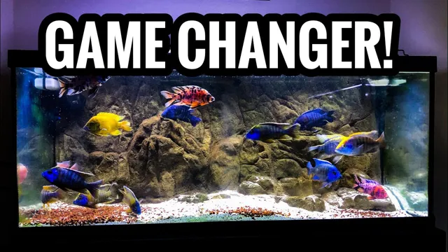 how to know if your aquarium needs a frame