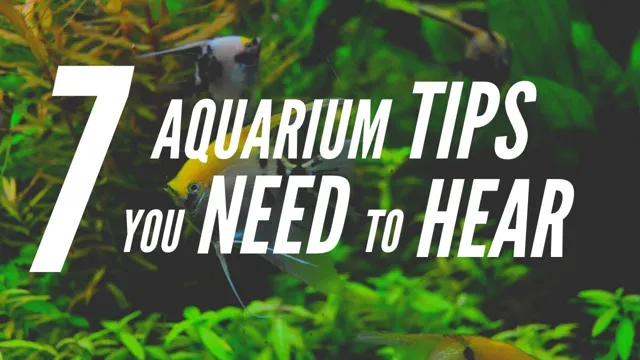 How to Know if Your Aquarium Needs a Frame: A Comprehensive Guide