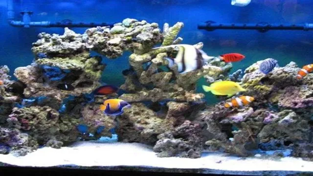 how to know salt water aquarium has cycled