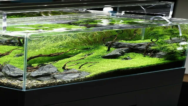 how to landscape your aquarium