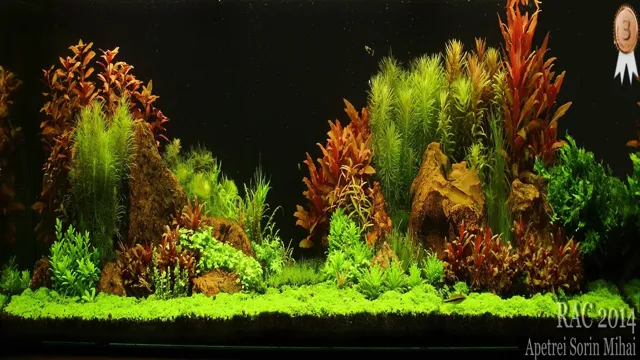 How to Landscape Your Aquarium: A Step-by-Step Guide to Creating a Stunning Underwater Environment