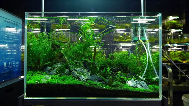 how to landscaping aquarium