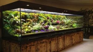 how to landscaping reptile aquarium