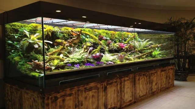 How to Landscaping Reptile Aquarium for a Natural Habitat Setup