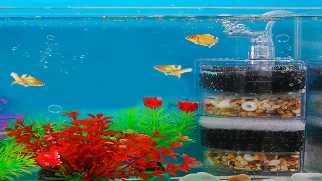 How to Layer an Aquarium Filter for Effective Filtration – Tips and Tricks