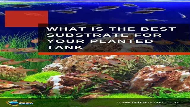 how to layer different aquarium substrate