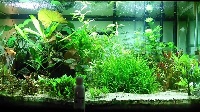 how to layer substrate in aquarium
