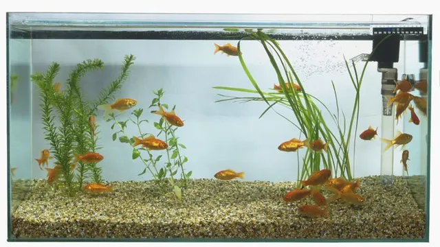 how to lessen th flow of an aquarium filter