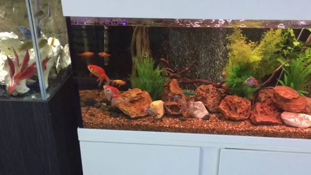 how to level an aquarium on carpet