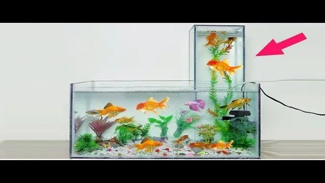 how to level an aquarium on concrete