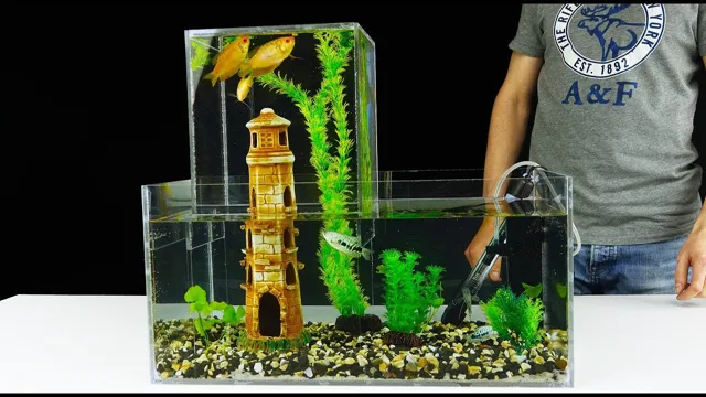 How to Level an Aquarium Easily: Tips and Tricks from Fishlore.com