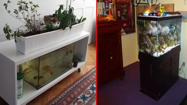 How to Level Aquarium Stand on Carpet – Tips and Tricks for Perfect Stability