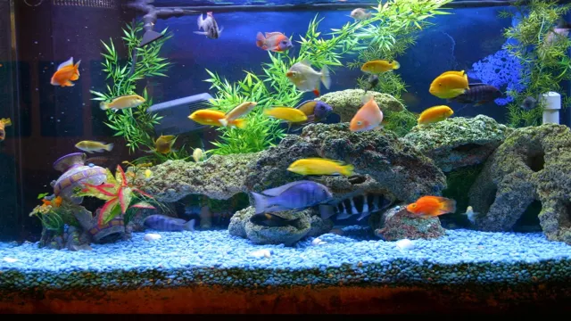 how to level large aquarium